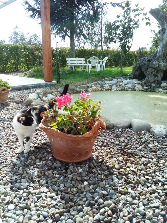 Dimora Antonianna In Valle D'Itria Locorotondo Eksteriør bilde