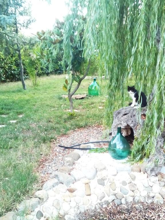 Dimora Antonianna In Valle D'Itria Locorotondo Eksteriør bilde
